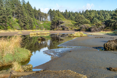 A landscape photo of the Moclips River in Washington State.の写真素材