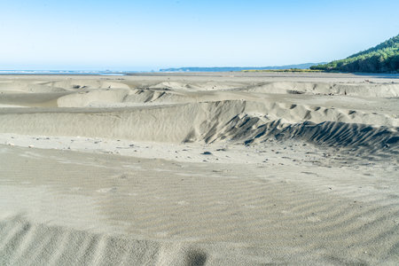 A view of small sand dunes along the shore at Moclips, Washington.の写真素材
