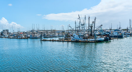 Various boats are moored ant the marina in Westport, Washigton.
