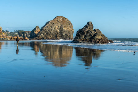 Rock formations on the beach at Harris State Park in Brookings, Oregon.の写真素材