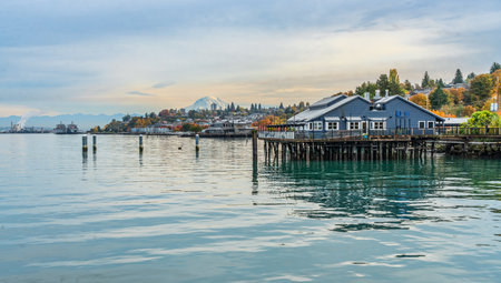 A utumn tree and buildings line the shore in Ruston, Washington.