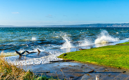 Shore break on a sea wall in Burien, Washington.の写真素材