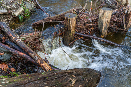 A close-up shot of whatewater in Des Moines Creek in Washington State.の写真素材