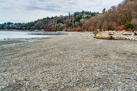 A view of the shoreline at Seahurst Beach Park in Burien, Washington. It is winter time.