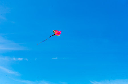 A kite floats in the aire with blue sky behind at Brown's Point, Washingto.の写真素材