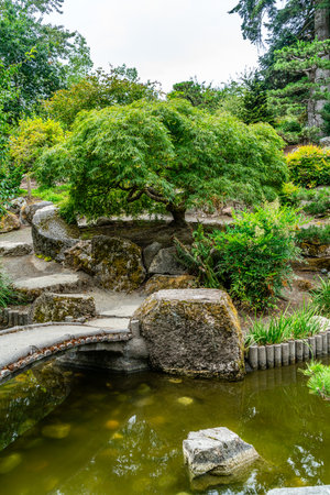 A view of a Japanese garden with rocks and trees in Seatac, Washington.の写真素材