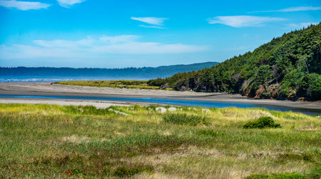 A landscape view of the Moclips River in Washington State.