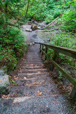 A view of stairs at Schmitz Pakr in West Seattle, Washington.