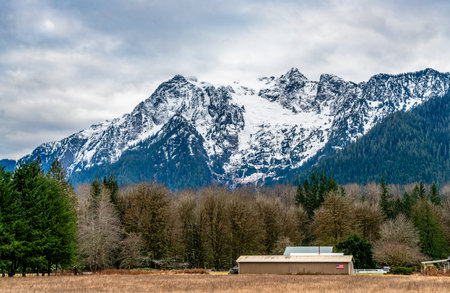 Snow-covered hills near Rockport, Washington.