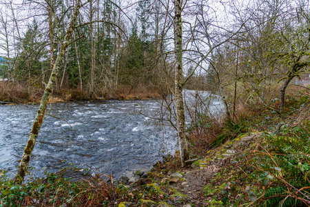 A veiw in winter of the Green River in Washington State.の写真素材