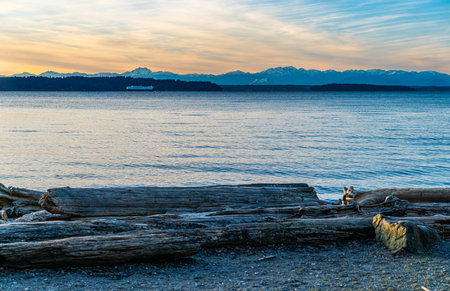 A view of the Puget Sound and mountains at Seahurst Beach Park in Burien, Washington.の写真素材