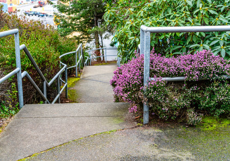 Early spring blossoms at Jack Block Park in West Seattle, Washington.