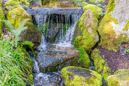 A view of small waterfalls at a garden in Bellevue, Washington.