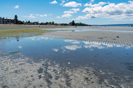 A view of Alki Brach shoreline with an extremely low King tide. Location West Seattle, Washington.