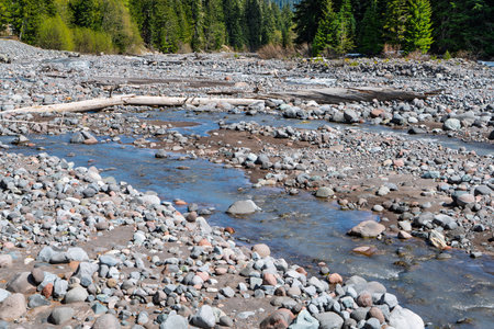 A view of the White River with rocks at Mount Rainier National Park in Washington State.
