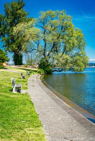 A city park along the shore of Lake Washington in Seattle.の写真素材