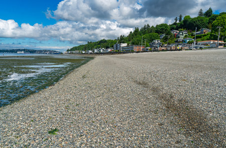 A view of Alki Brach shoreline with an extremely low King tide. Location West Seattle, Washington.の写真素材