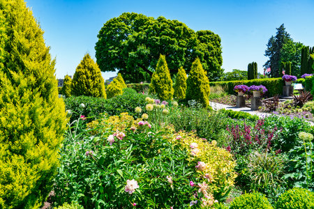 A variety of plants and flowers in the Sunken Garden at the Washington State  Capitol.の写真素材