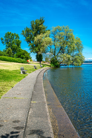 A city park along the shore of Lake Washington in Seattle.の写真素材