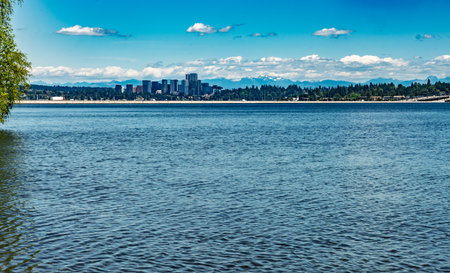 A view of the skyline of Bellevue, Washington across a lake.の写真素材