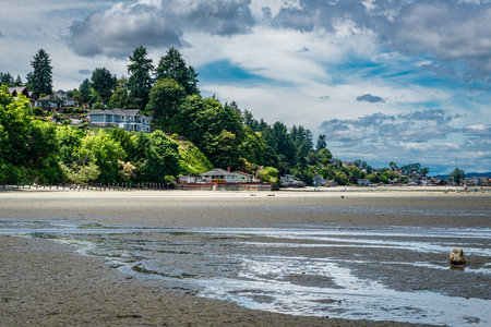 Shoreline homes at Dash Point, Washington. The tide is low.の写真素材