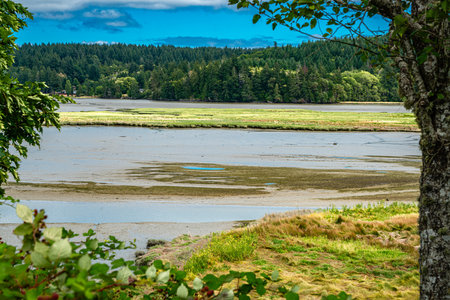 A landscape view of Oyster Bay near Shelton, Washington.