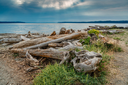 A view of the ocean from Saltwater State Park in Des Moines, Washington.の写真素材