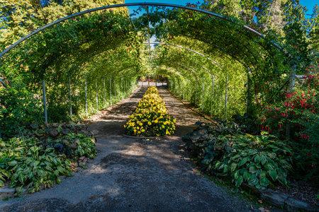 A arbor at Point Defiance Park in Tacoma, Washington.の写真素材