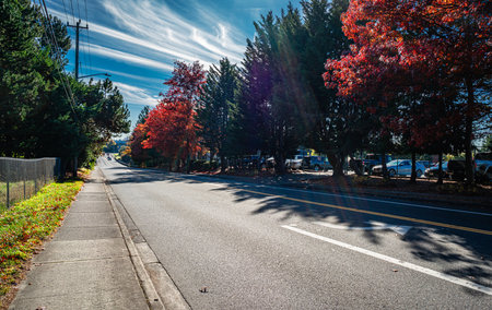 Autumn colors along a street in Burien, Washington.の写真素材