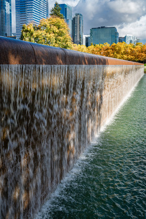 a view of Bellevue City Park in Washington State with skyscrapers in the distance..の写真素材