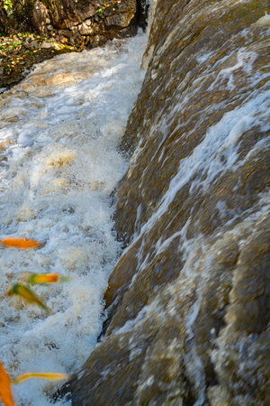 A close-up of a thick flowing waterfall on Tumwater, Washington.の写真素材