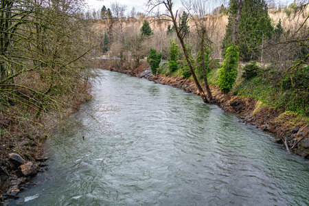 A view of the Cedar River in Renton, Washington. The month is December.
