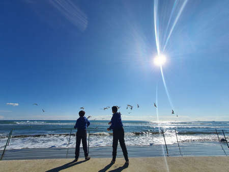 Feeding the seagullsの写真素材