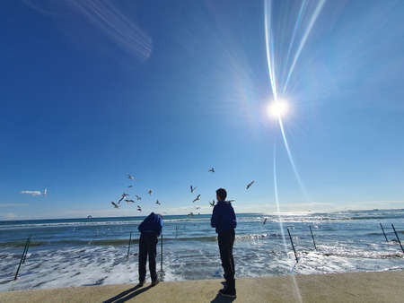 Feeding the seagullsの写真素材