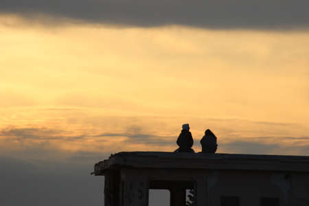 Watching the sun go down