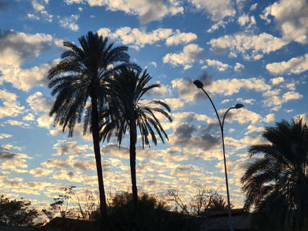 Sunset at Nicosia the capital of Cyprus Republic on Novemberの写真素材