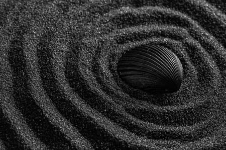  Black shell on a black sand dunes background. Black designの写真素材