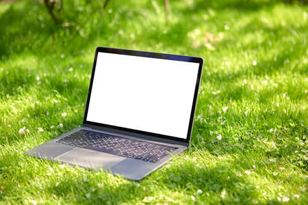 An open laptop is lying on the grass, or lawn, in the garden, with an empty screen.の写真素材