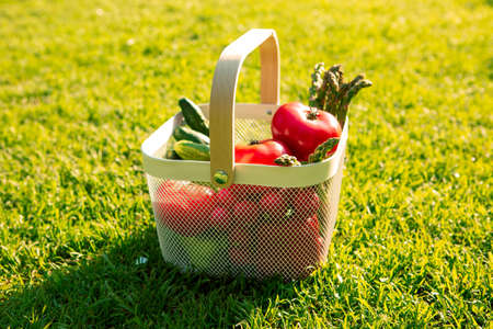 Basket of tomatoes and other vegetables on green lawn at picnic in garden, photography for...