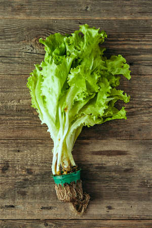 Green arugula salad in waffle cone on wooden table, healthy snack, concept photography and content...