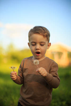 Portrait of cute baby boy blowing on a dandelion. Summertime photography for ad or blog about childhoodの写真素材