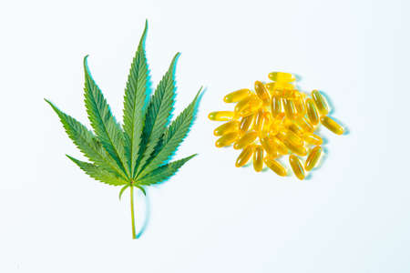 CBD oil capsules and hemp leaf in neon studio light, top view. Natural dietary supplements