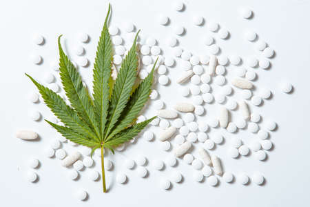 Hemp leaf lying on tablets on white background, top view. Natural dietary supplementsの写真素材