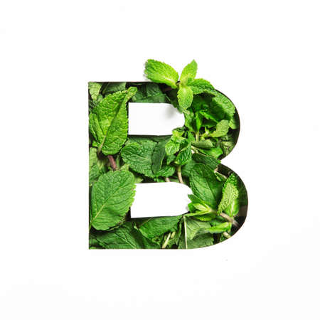 Letter B of English alphabet of green mint natural leafs and cut paper isolated on white. Leaves typeface for decorationの写真素材
