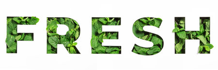 Lettering of English word fresh made of green natural leaves and cut paper isolated on white. Menthol fontの写真素材