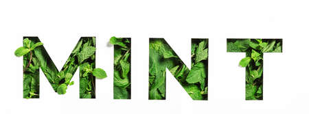 Lettering of English word mint made of green natural leaves and cut paper isolated on white. Menthol fontの写真素材