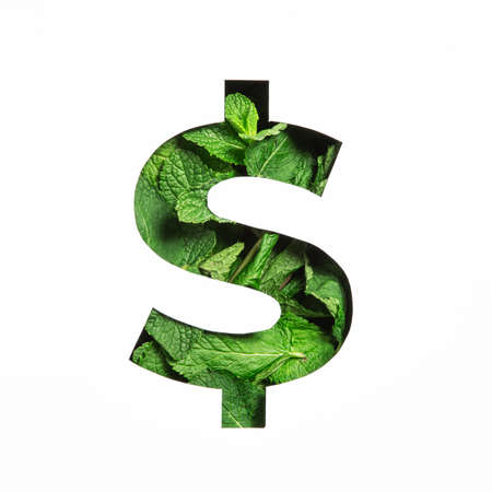 Dollars currency sign of green mint natural leaf and cut paper isolated on white. Peppermint leaves typefaceの写真素材