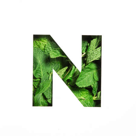 Letter N of English alphabet of green mint natural leaf and cut paper isolated on white. Peppermint...