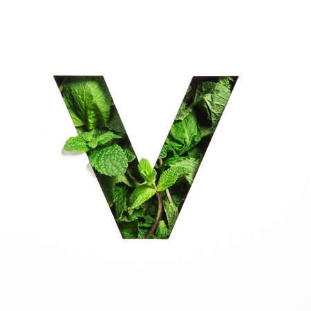 Letter V of English alphabet of green mint natural leaf and cut paper isolated on white. Peppermint...