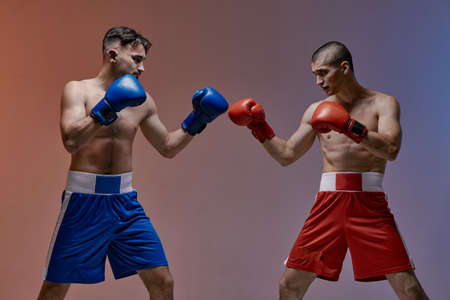 Athletic guys boxers with bare fit torsos fighting in boxing gloves in blue red studio light, mixed...
